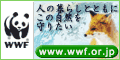 WWF����ѥ�ۡ���ڡ���
