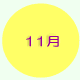 11月